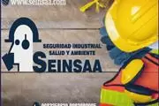 seinsaa thumbnail 2