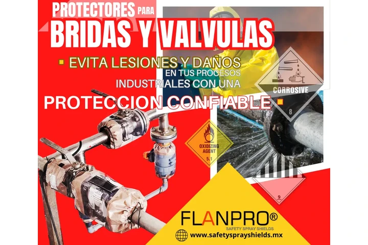 Escudos protectores líneas image 2