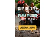 Punta Cana Tourd and Travel thumbnail