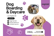 Dog Boarding & Daycare Service en Los Angeles
