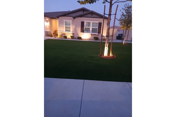 Tree & Landscaping Services image 9