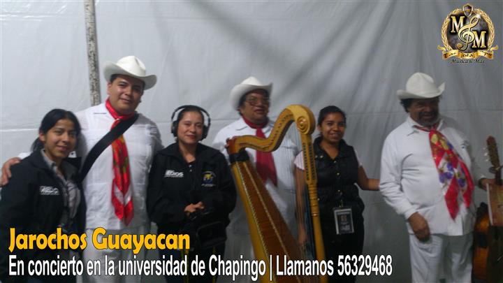 Grupo Musical Jarocho Guayacan image 6