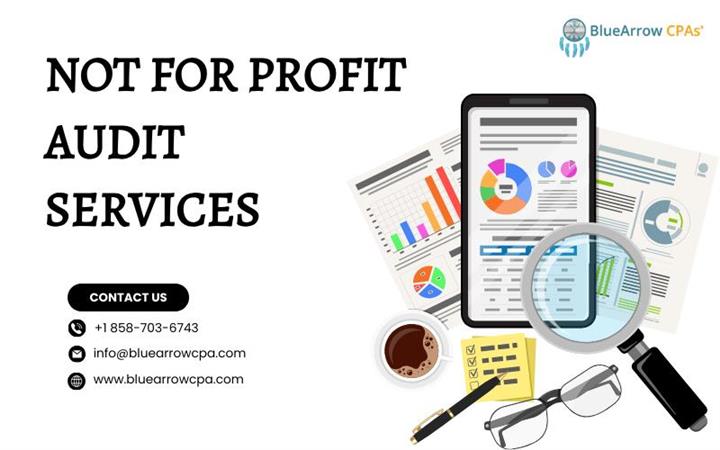 Not for Profit Audit Services image 1