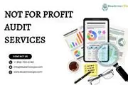 Not for Profit Audit Services en San Diego