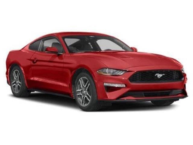 2022 Mustang EcoBoost image 7