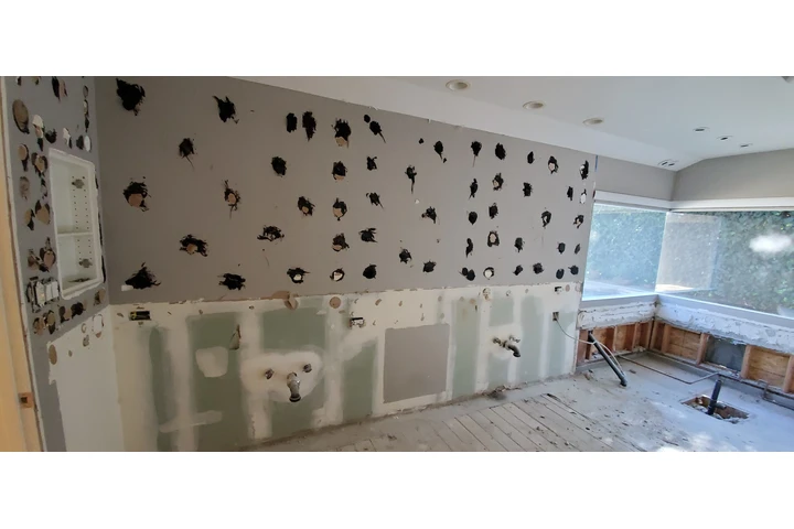 DEMOLITION AND HAULING image 7