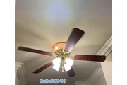 Elías Zamora thumbnail