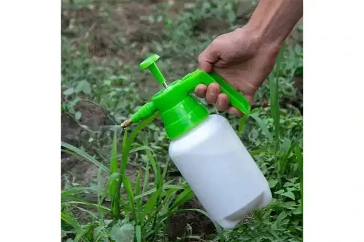 CANALEZ GARDENING SERVICES image 5