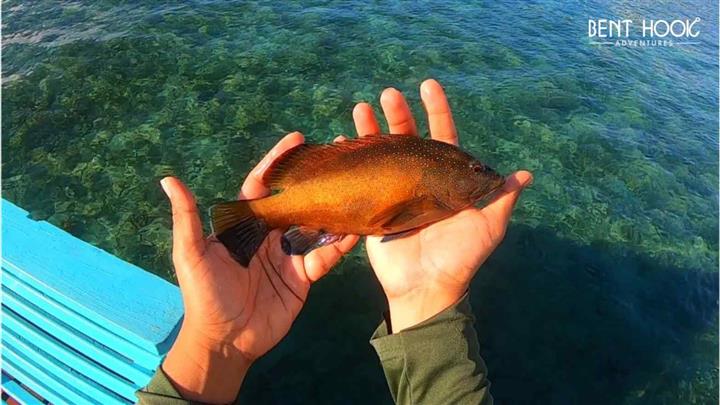 Premier Belize Fishing Charter image 1