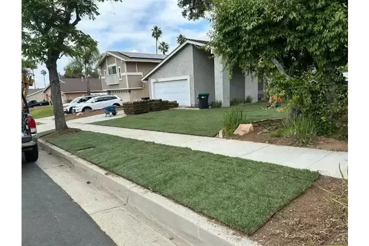 🌳 Francisco Toc Landscaping image 9