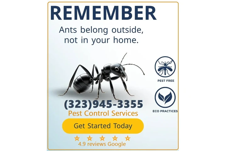 PEST CONTROL SERVICES⭐⭐⭐⭐⭐L.A. image 4