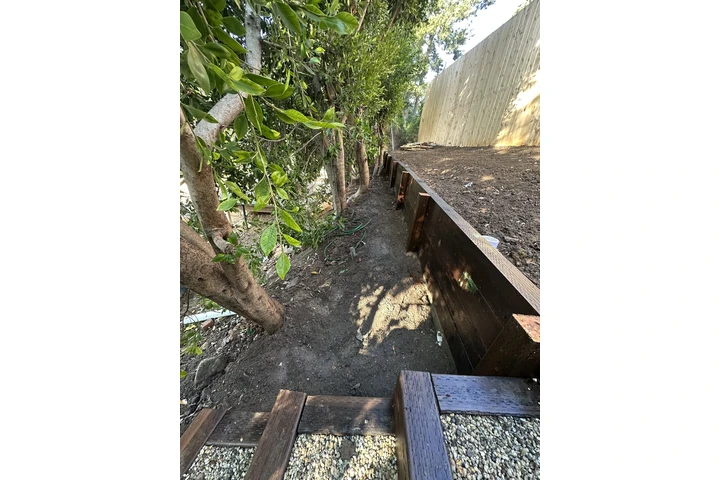 D.R landscaping image 1