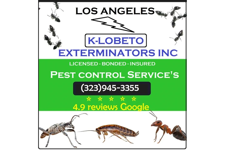 PEST CONTROL NEAR ME 24/7.- image 8