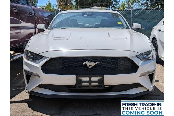$26284 : Ford Mustang 2023 EcoBoost P image 3