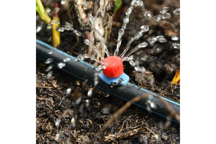 SERVICIO DE JARDINERÍA image 3