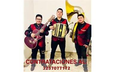 ✌️GRUPO NORTEÑO con TUBA✌️ image 1