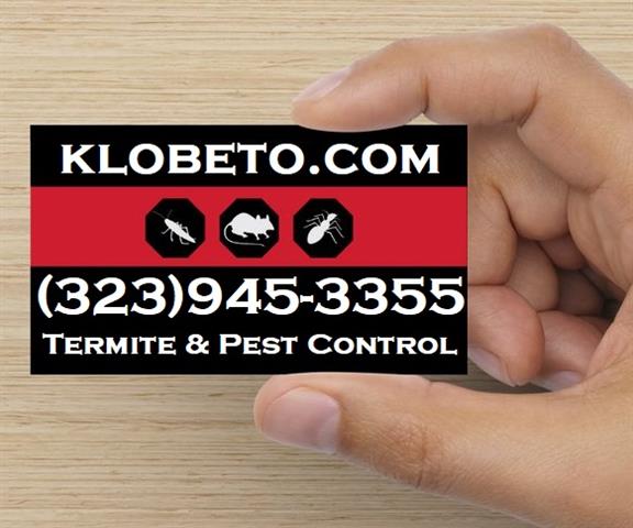 K-LOBETO EXTERMINATORS INC image 9