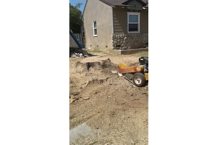 Economic Tree Service image 6