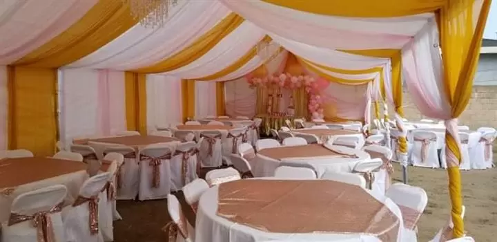 Carpas grandes 30x3030x80ETC image 3