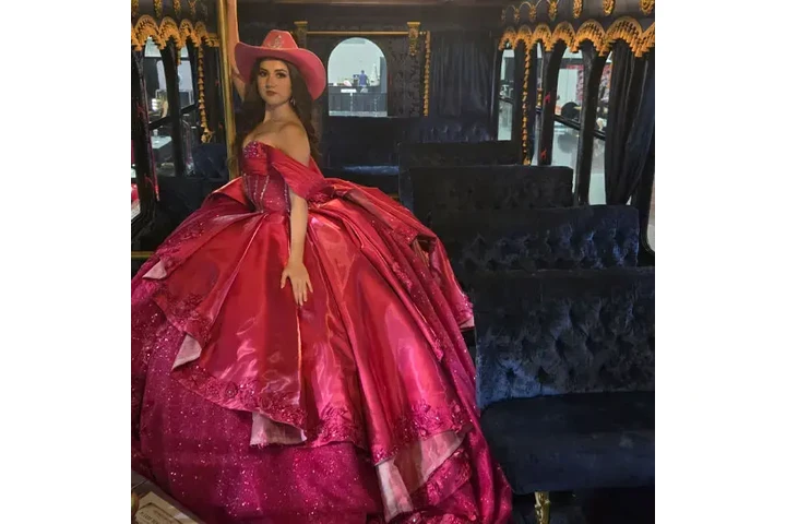 PARLOR CAR TROLLEY PARTY BUS image 4