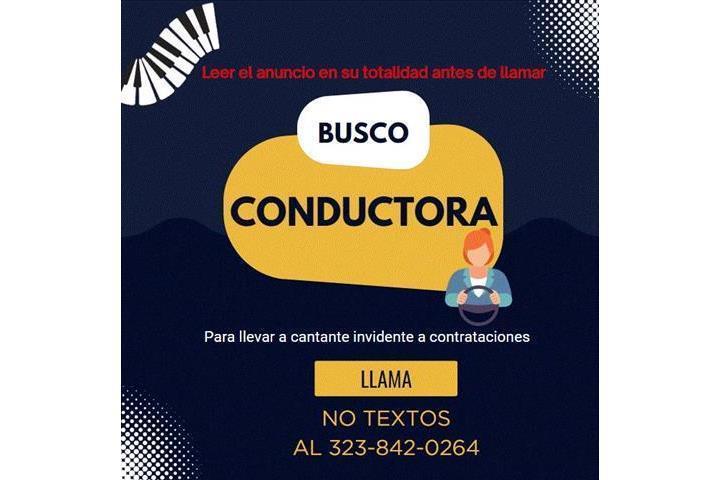 BUSCO CONDUCTORA image 3