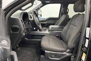 $24249 : Pre-Owned 2019 F-150 XLT thumbnail