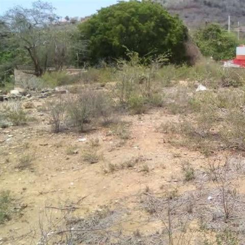 $7500 : TERRENO 360M2 LOS ROBLES Venta image 1