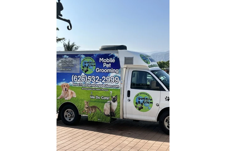 Chofer ayudante  para perrros image 1