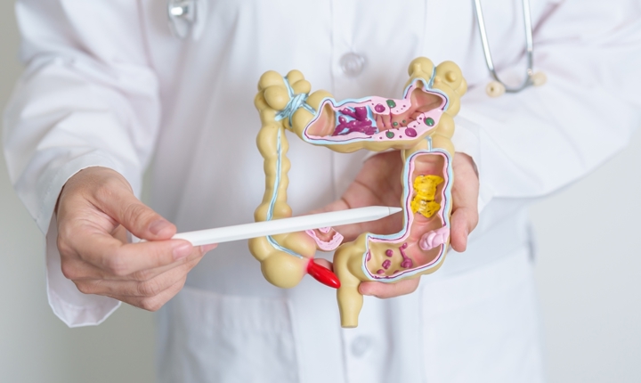 Una microbiota sana ayuda a prevenir enfermedades