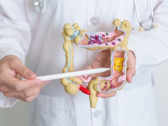 Una microbiota sana ayuda a prevenir enfermedades