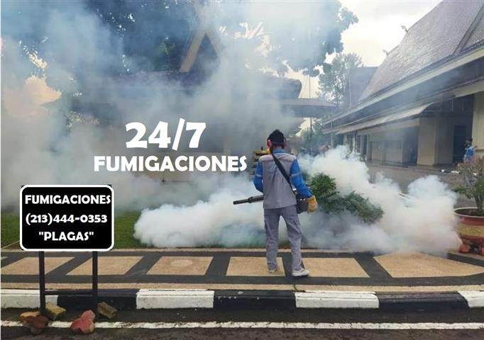 FUMIGACIONES HUNTINGTON PARK image 1