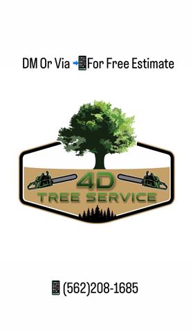 4D Tree Service image 4