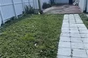 $1700 : Rento Apartamento /efficiency thumbnail