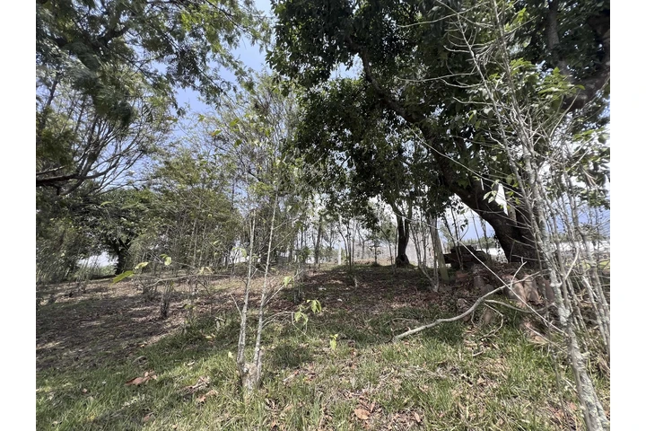 $97000 : Terreno en Antigua Gardens image 9