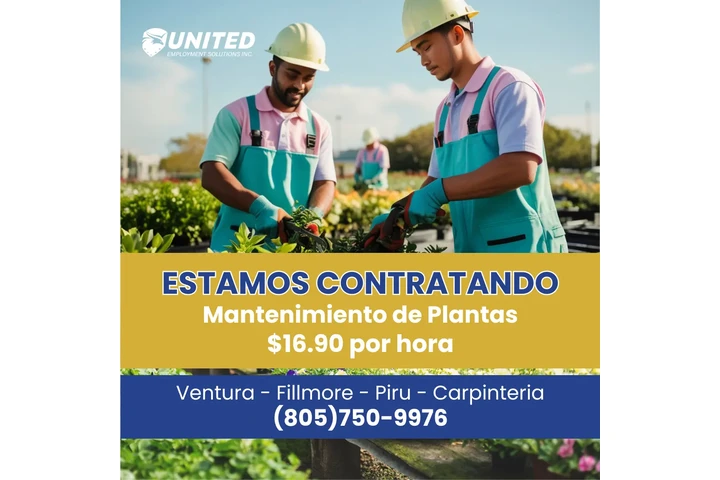 Trabajo General - United image 1