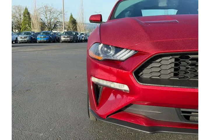 $21995 : Ford Mustang 2019 EcoBoost P image 9