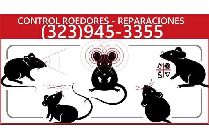 FUMIGATION LOS ANGELES--WINTER image 4