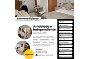 EFFICIENCY en West Miami en Miami