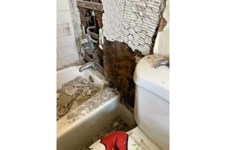 ALEX THE HANDYMAN image 4