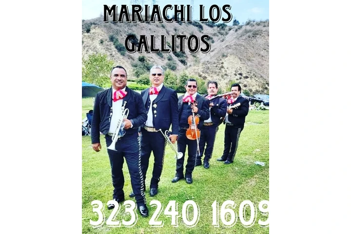 Mariachi Los Gallitos For Hire image 2