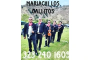 Mariachi Los Gallitos For Hire thumbnail