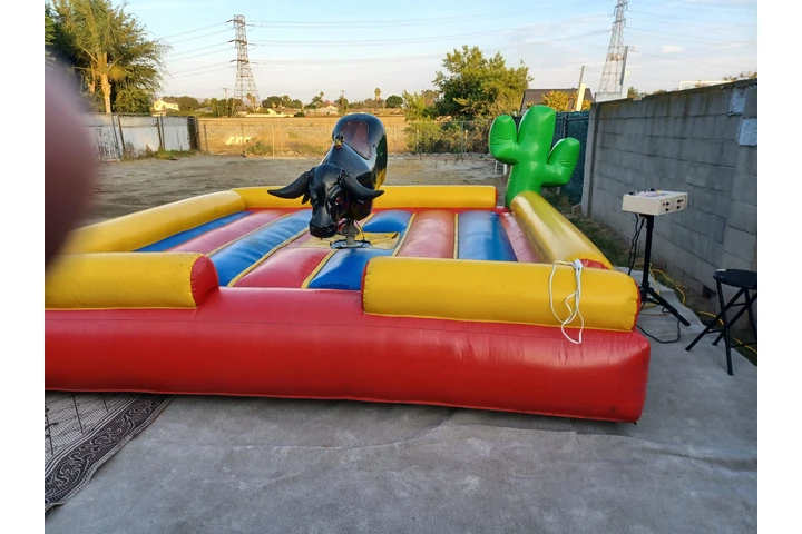 *WATER SLIDES*CARPAS****TOROS* image 6