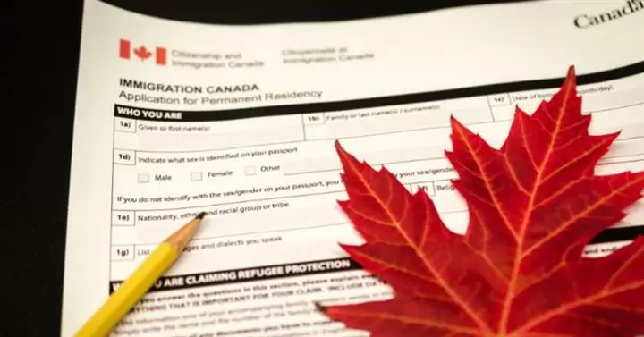 immigration consultant image 1