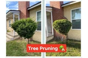 Jardinero 🏡 limpieza thumbnail