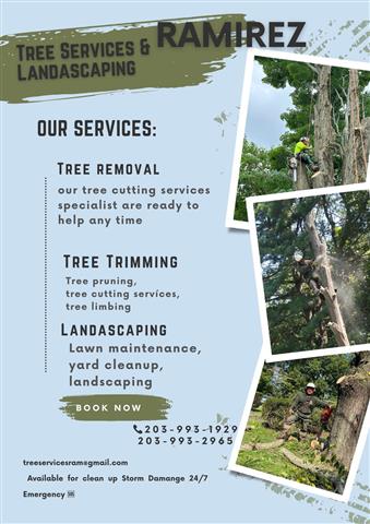 Ramirez Tree Services image 2