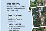 Ramirez Tree Services thumbnail