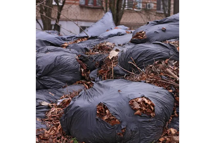 Recogemos su Junk image 4