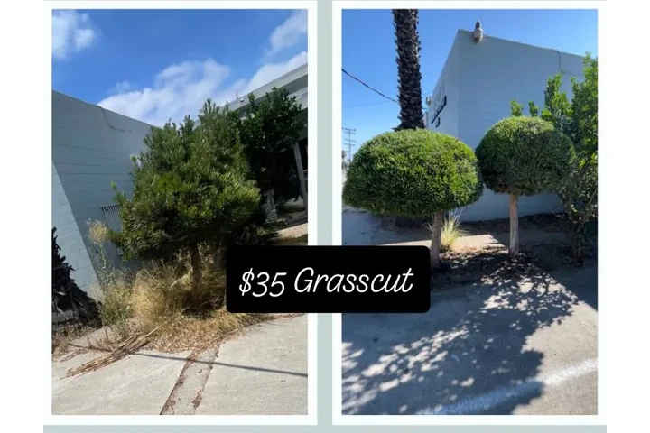 Corté de pasto $35 image 3