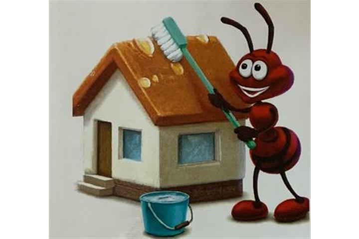 LITTLE ANT CLEANING SERVICES image 3