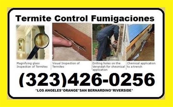 ➤ CONTROL DE TERMITAS. image 1